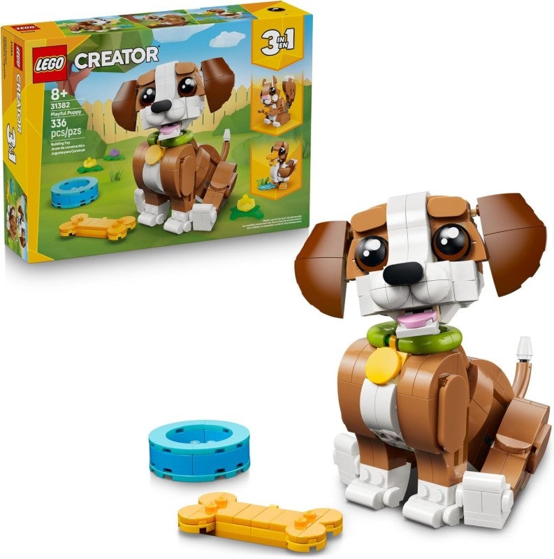 Playful Puppy Dogs