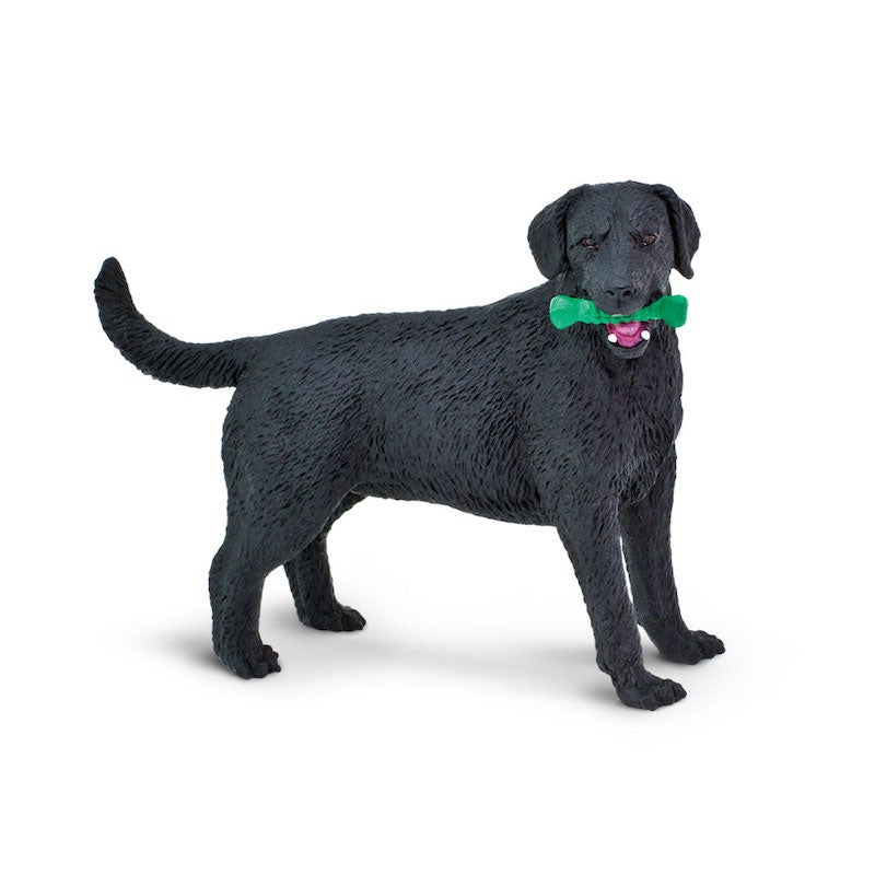 Black Lab