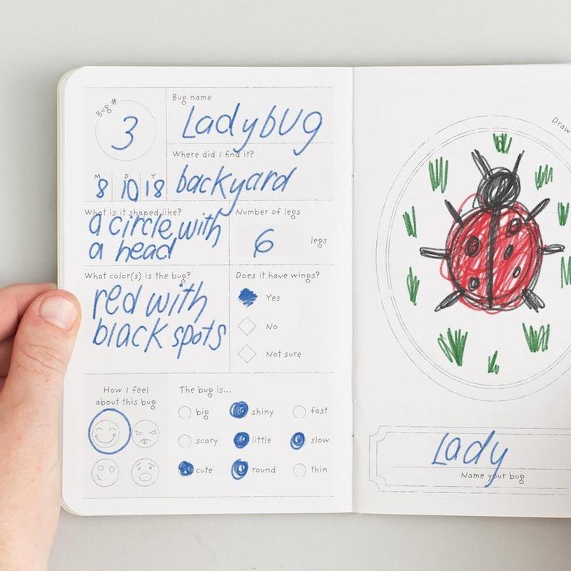 Kids Bug Passport