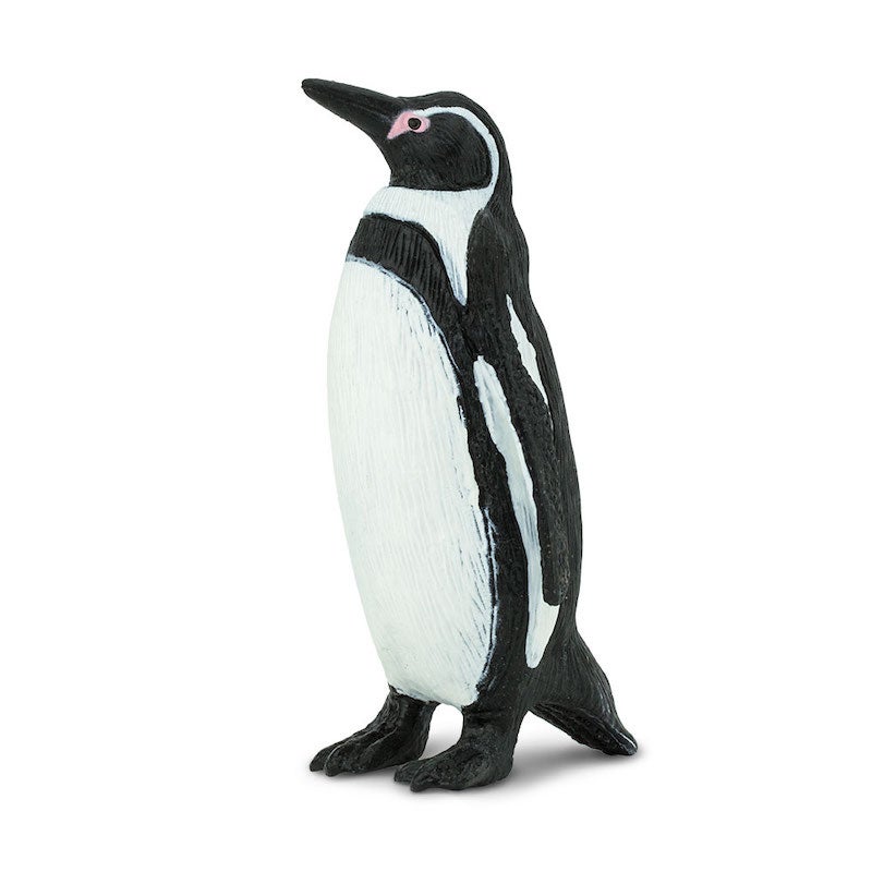 Humboldt Penguin