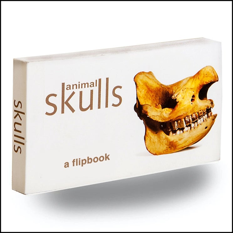 Flipbook: Animal Skulls