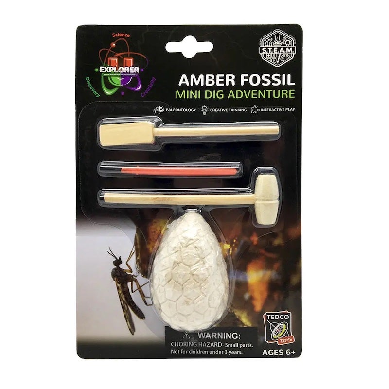 Amber Fossil Mini Dig