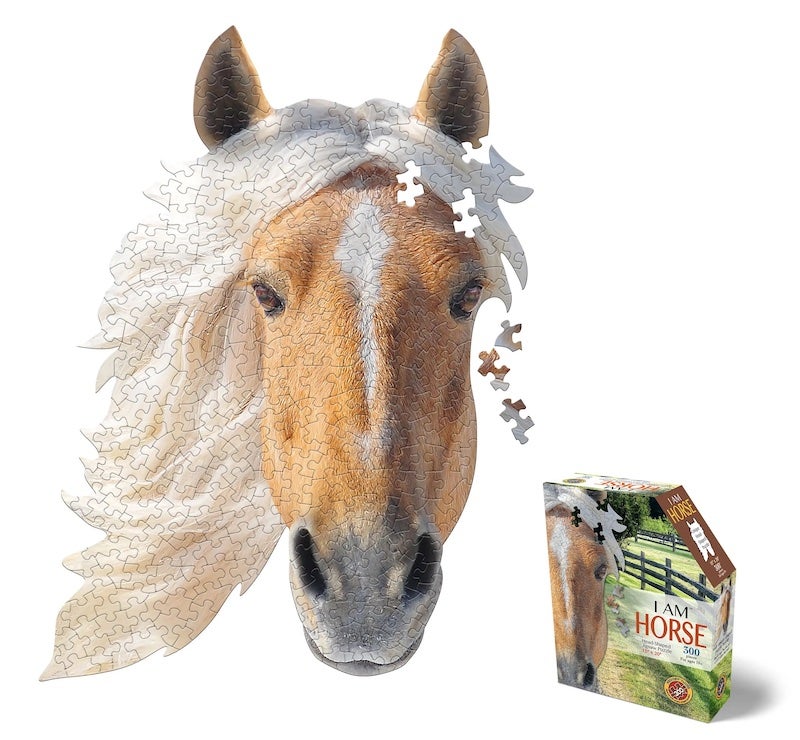 I Am a Horse Puzzle