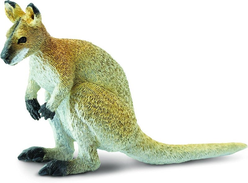 Wallaby