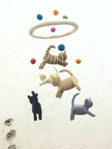 Cat & Mouse Mobile