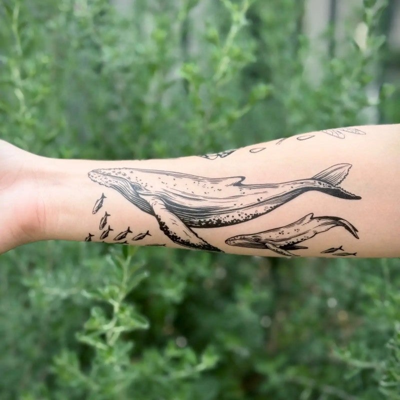 Blue Whale Temporary Tattoo