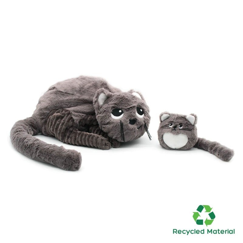Cat and Baby