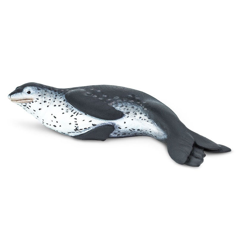 Leopard Seal