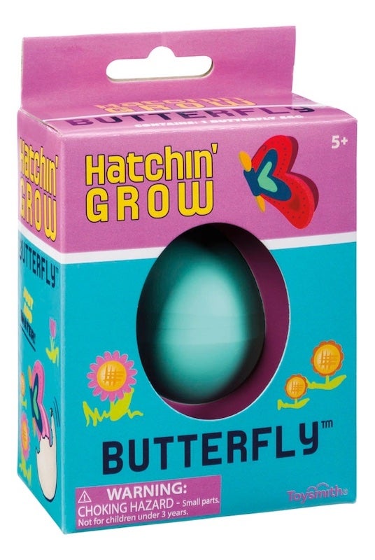 Grow a Butterfly