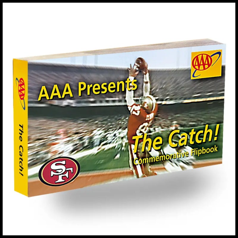 Flipbook: The Catch