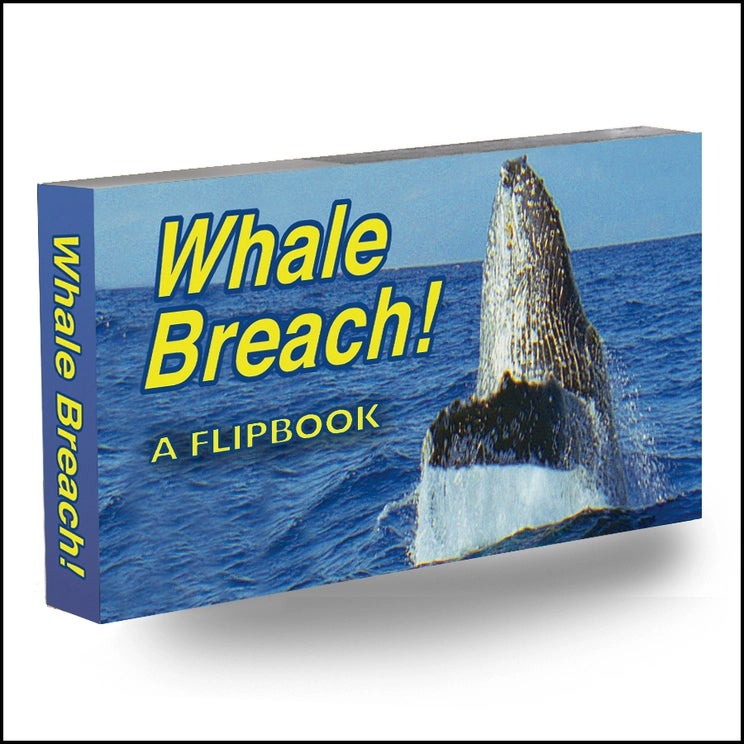 Flipbook: Whale Breech