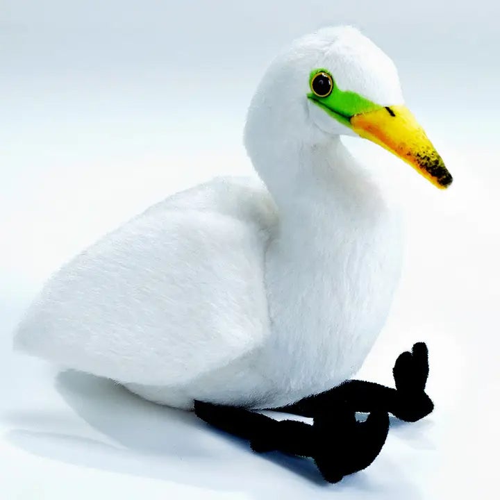 Egret with sound