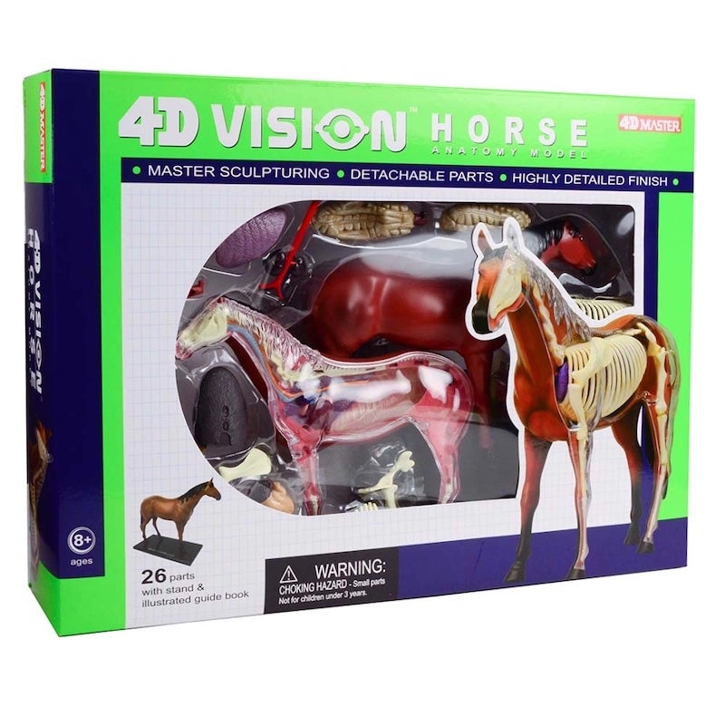 4D Horse