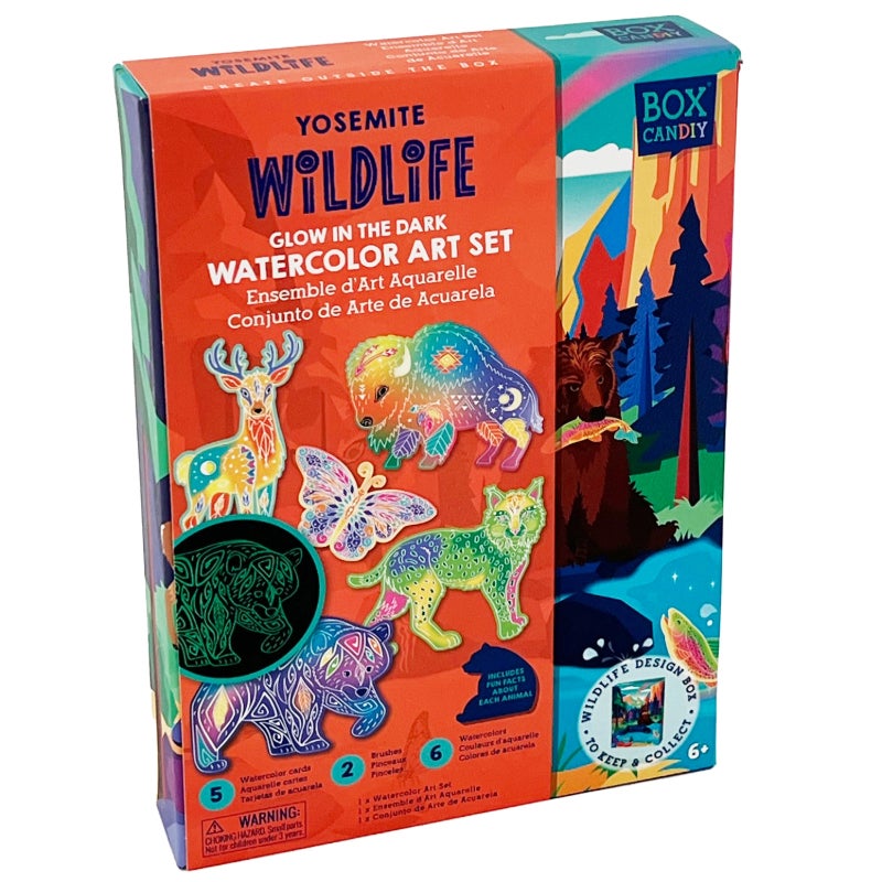Glow in the Dark Watercolor Art Set