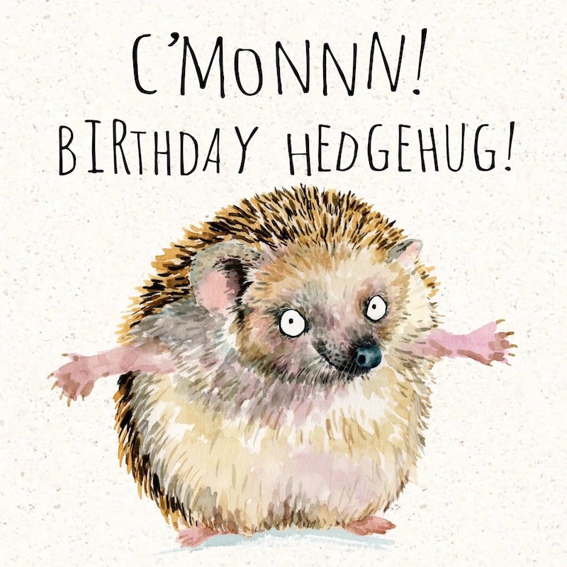 Hedgehug Birthday Card