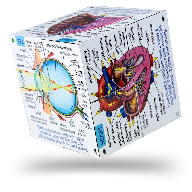 Cube Book: Human Body