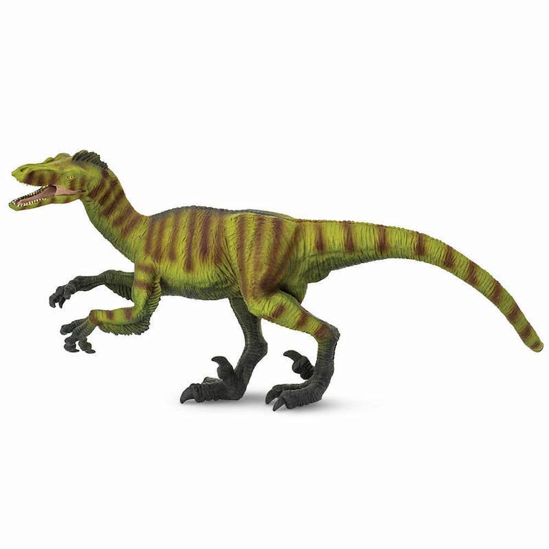 Velociraptor
