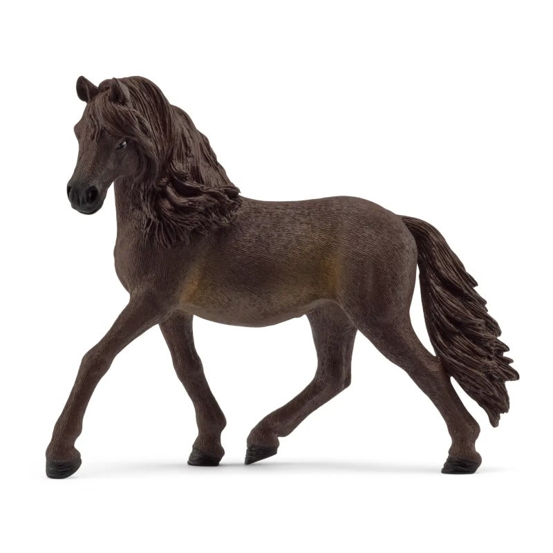 Andalusian Mare Horse