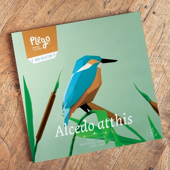 Kingfisher Paper Model
