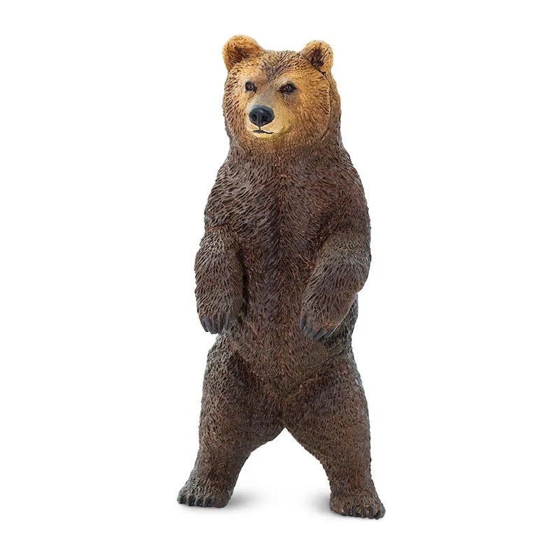 Grizzly Bear