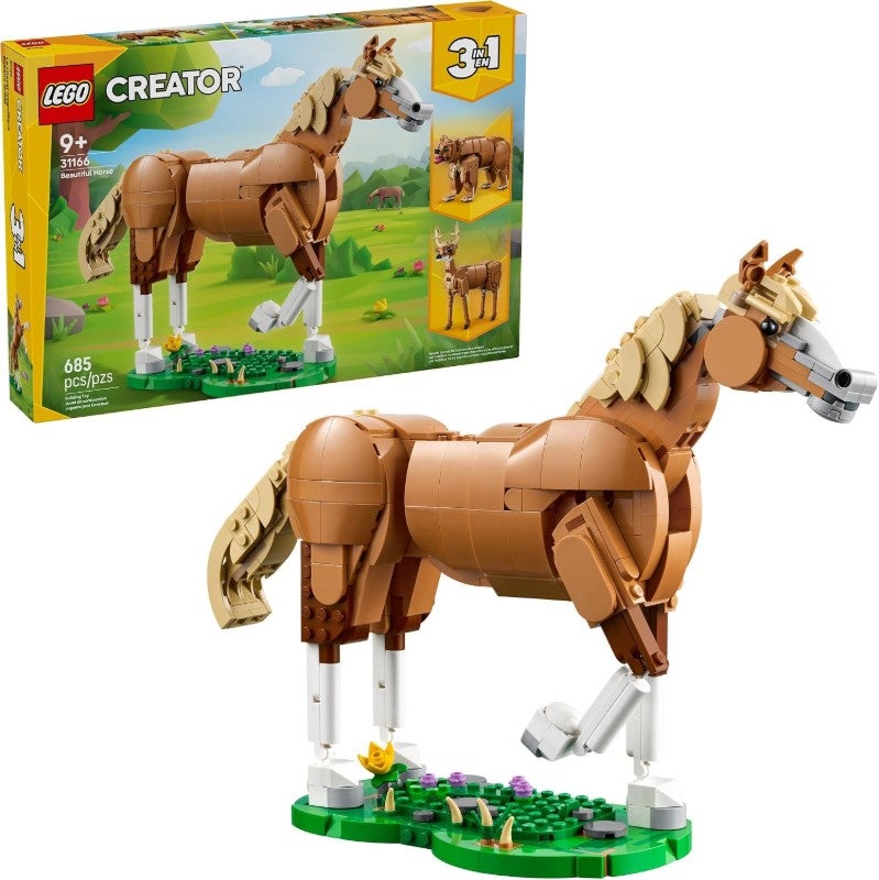 Beautiful Horse