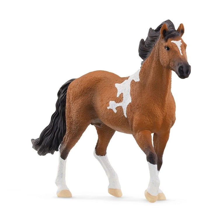 Marchador Horse