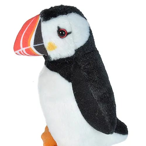 Puffin with sound