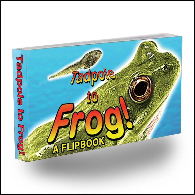 Flipbook: Tadpole to Frog