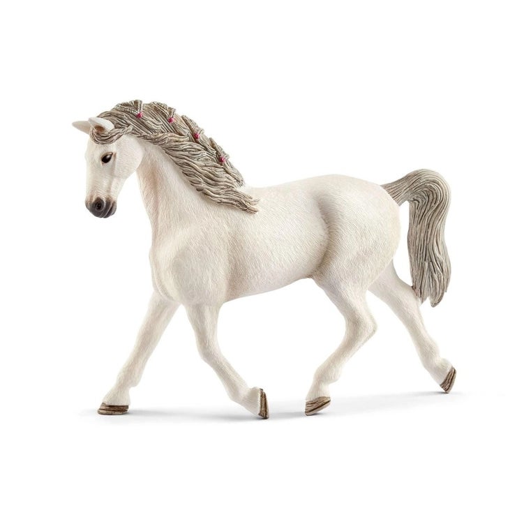 Holsteiner Horse
