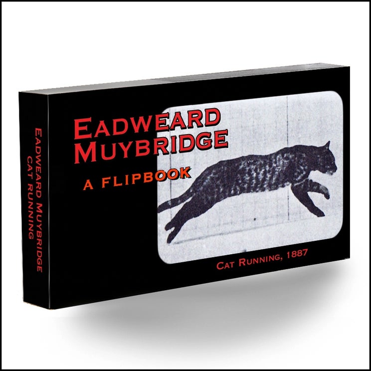 Flipbook: Muybridge Cat