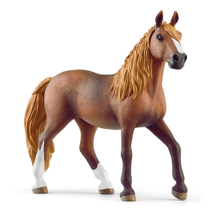 Peruano Horse